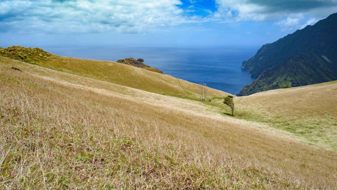 Marquesas